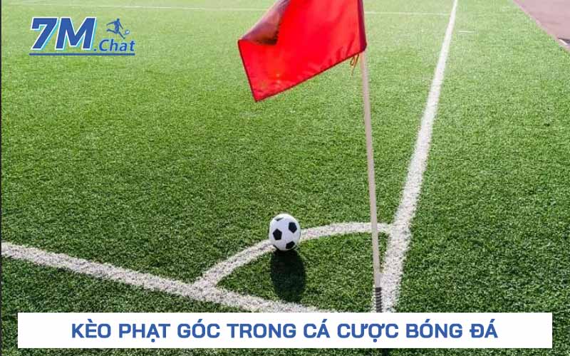 Cách soi kèo phạt góc trong bóng đá